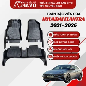 thảm lót sàn tpe Hyundai Elantra